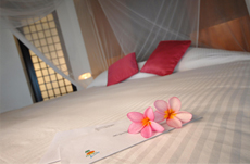 ����� Fridays Resort, �������