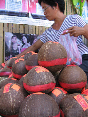 Каламай в кокосовых орехах