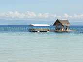Panglao Island Nature Resort, �������, �����, ���������