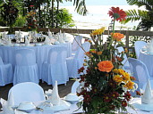 Panglao Island Nature Resort, �������, �����, ���������
