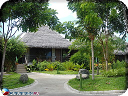 ����� Panglao Island Nature Resort, �������, �����, ���������