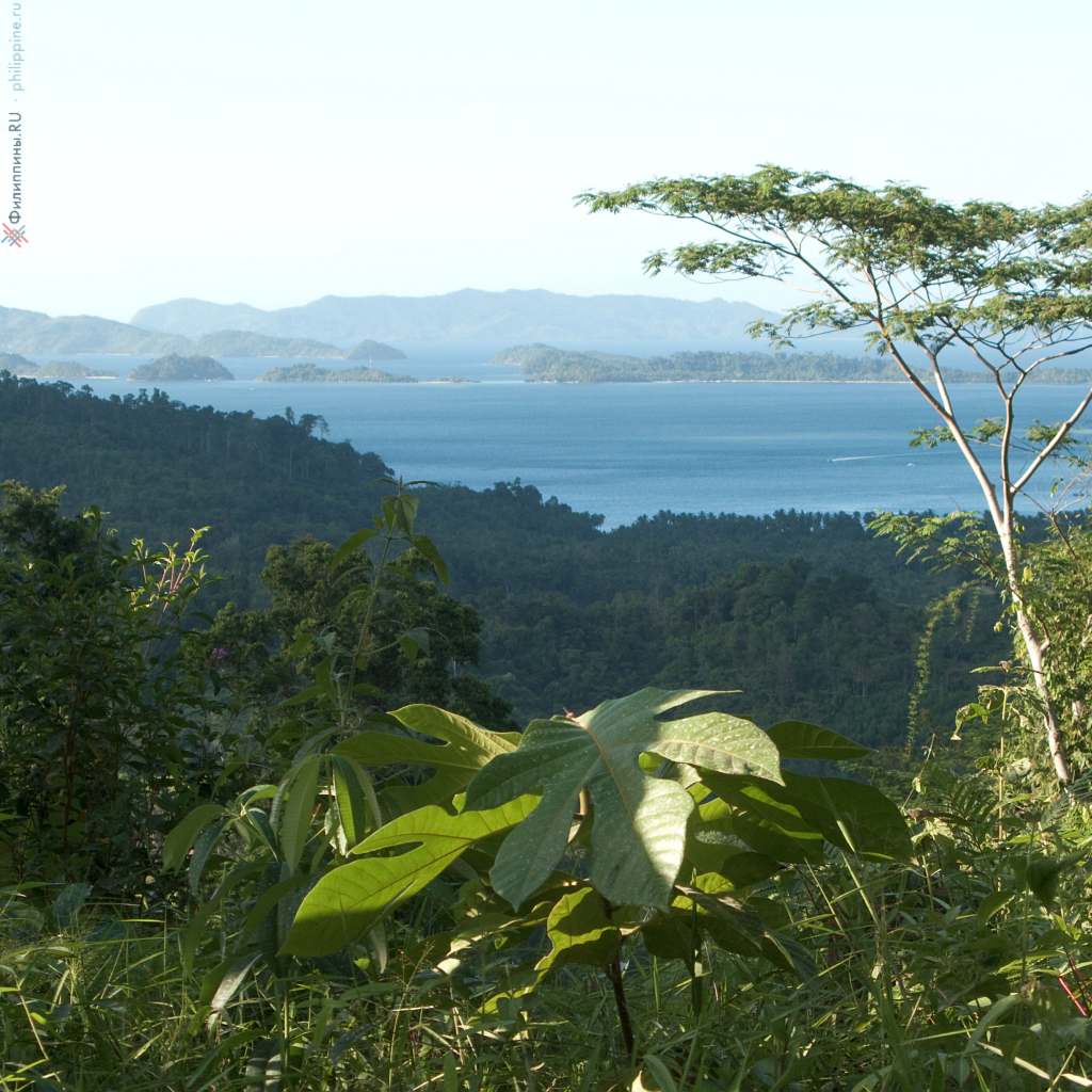 Тропический дождевой лес филиппинского острова Палаван