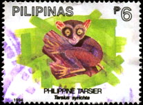 Марка Филиппин, филиппинский долгопят