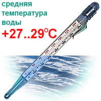 Средняя температура воды - +27..29C